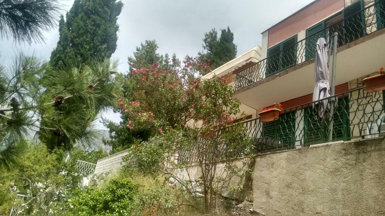 זאוסטרוג Apartment Marevista מראה חיצוני תמונה
